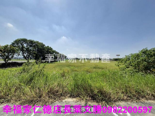 台南農地-4