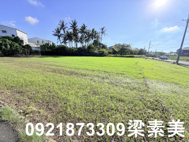 台南安定農地-1