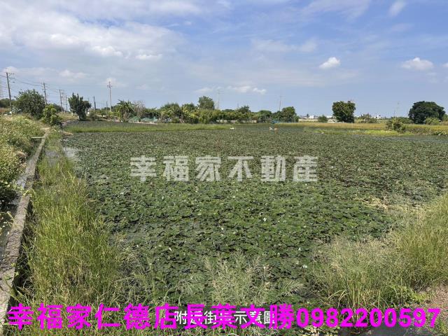 台南農地-6