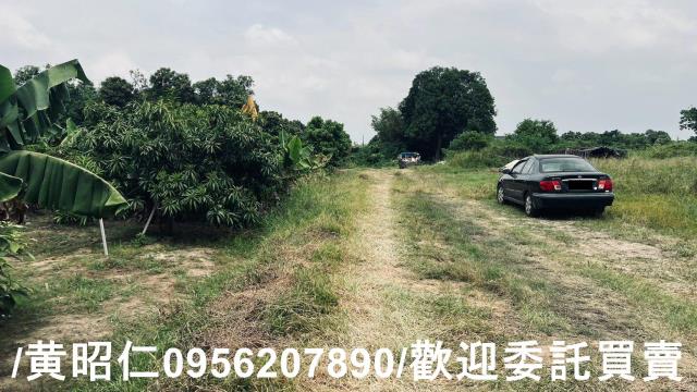 台南歸仁農地-13