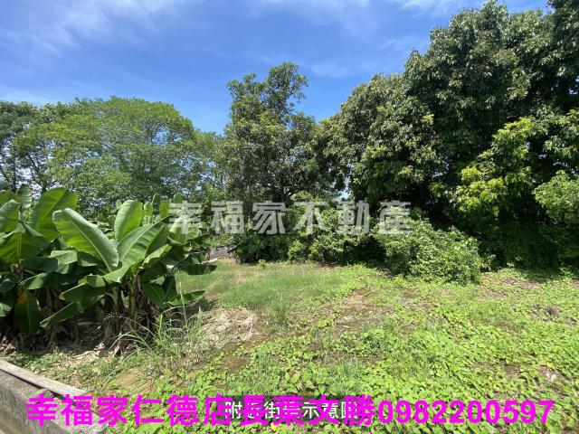 台南歸仁農地-4