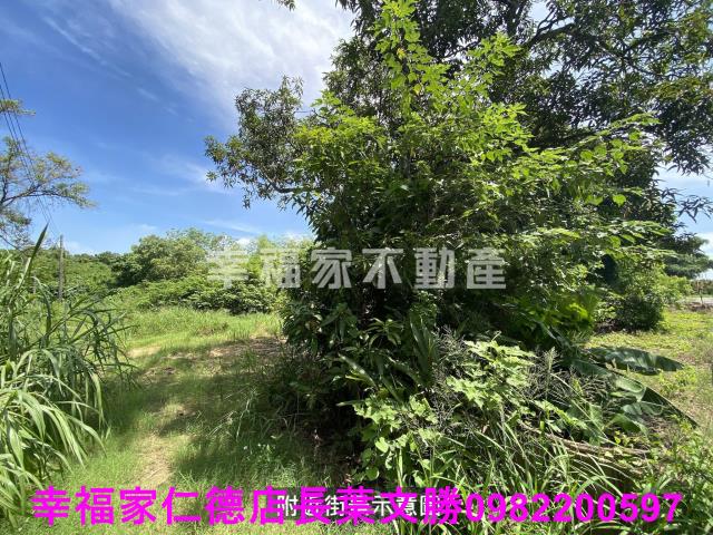 台南歸仁農地-5