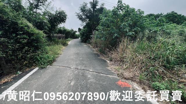 台南歸仁農地-10