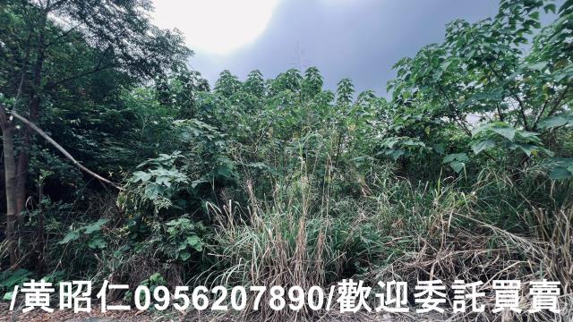 台南歸仁農地-2