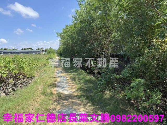 鹽水農地-4