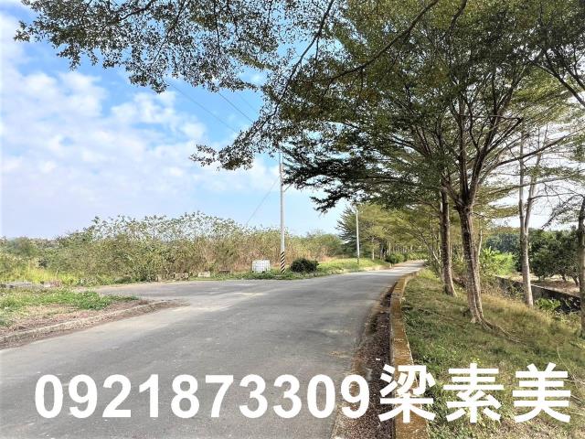台南農地-1