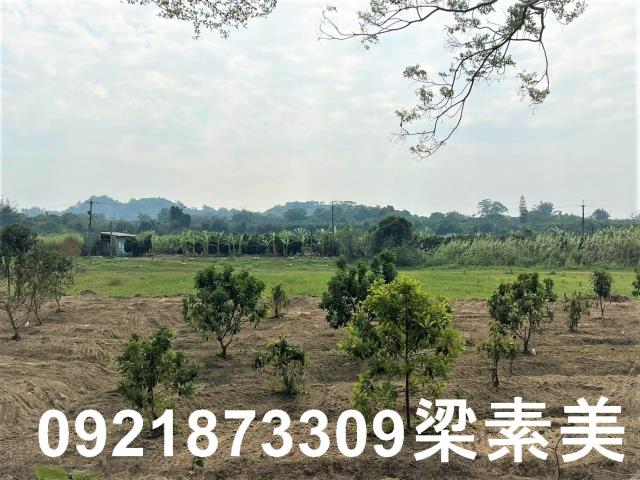台南農地-4
