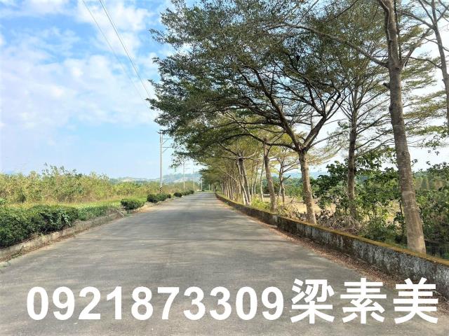 台南農地-5