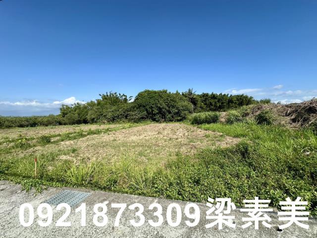 台南農地-8