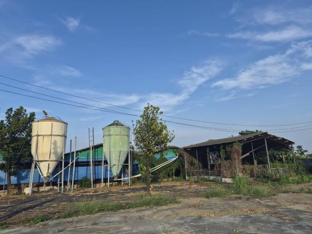 台南善化農地-8