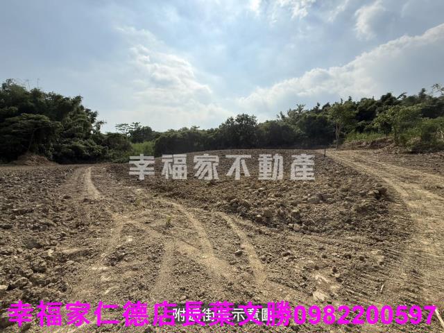 關廟農地-13
