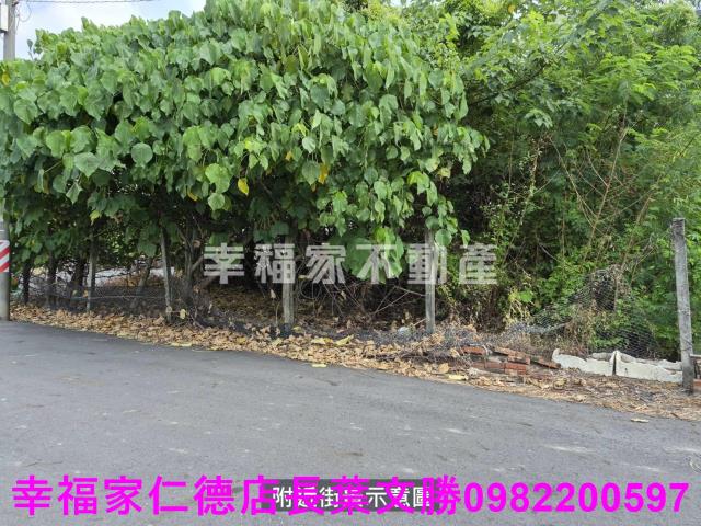 新營建地-5